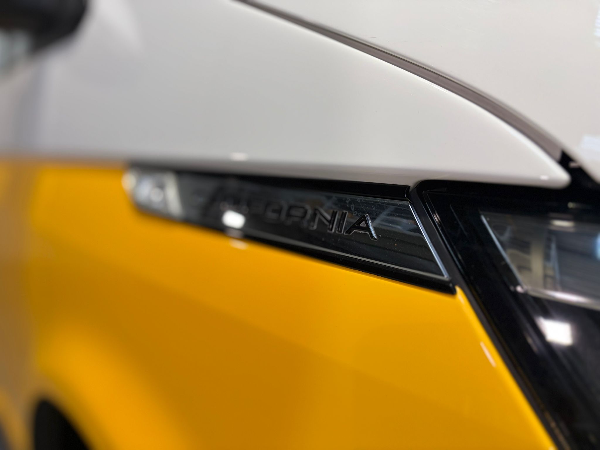 PHOTO-2026-02-05-11-12-20 2